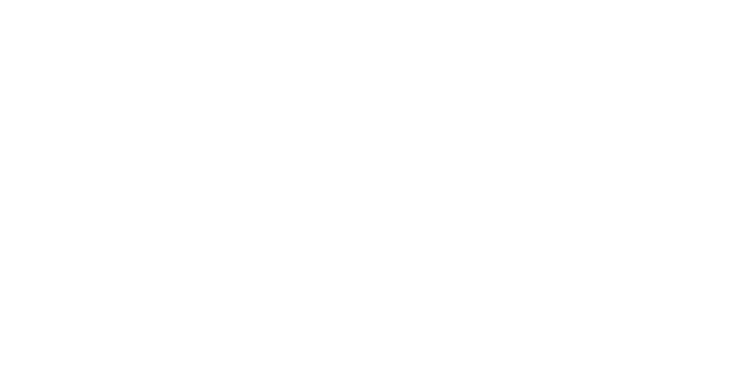 Micro Solution Web LLC